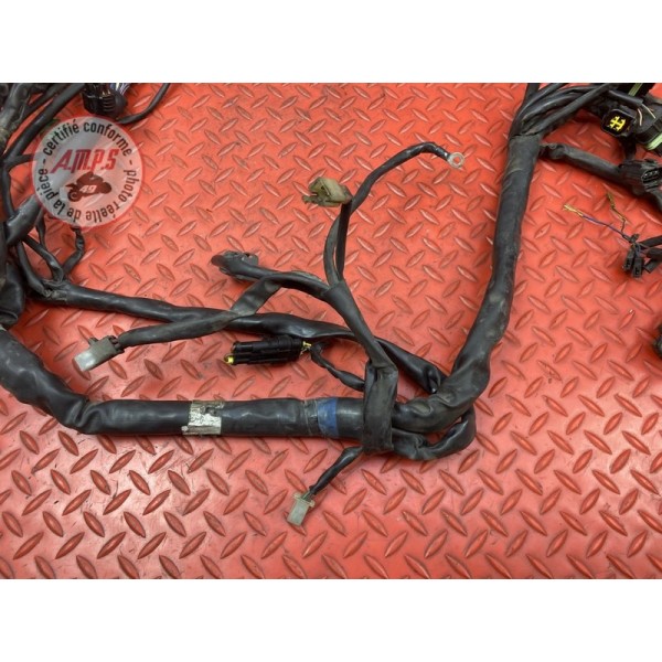 Faisceau électrique principale Cagiva 1000 Raptor 2000 à 2005